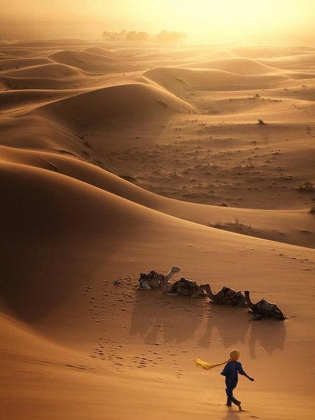 Тур из Марракеш в Пустыня Мхамид 4 дня/ 3 ночи