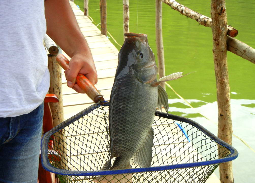 Рыбалка На Озере