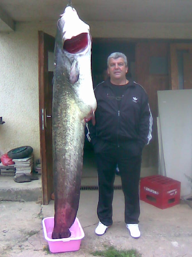 Рыбалка в Сербии