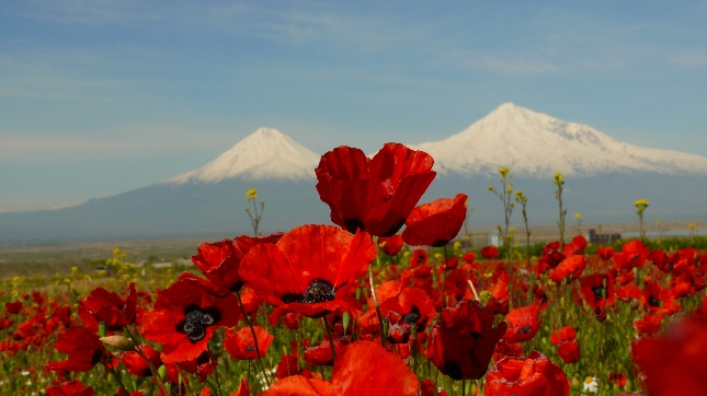 4 дневный тур по солнечной Армении