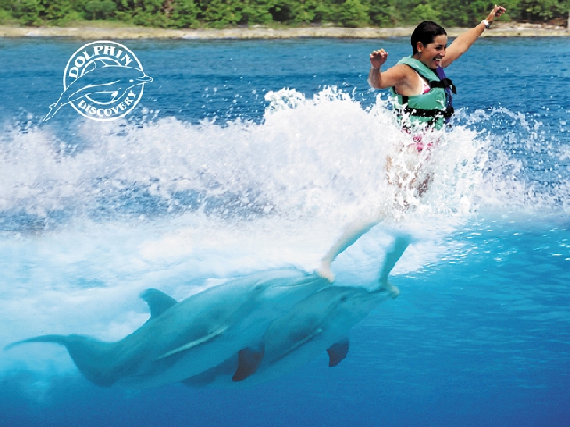 Плавание с дельфинами на Острове Женщин!