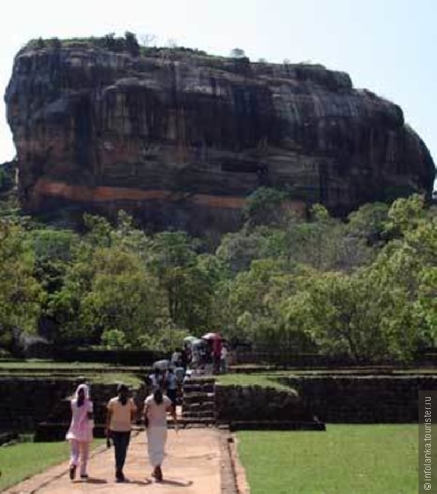 Минигруппы  - Туры в Шри Ланке