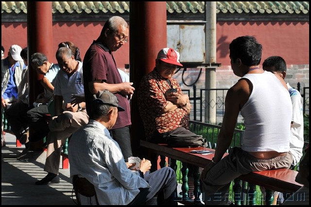 жизнь пекинец пенсионер