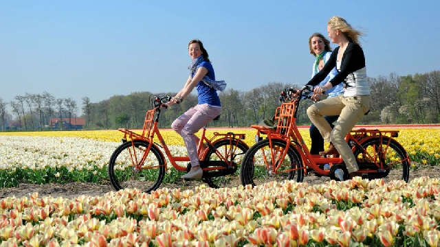 Велосипедная экскурсия по Амстердаму