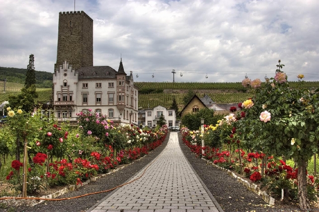 Рюдерсхаим – город - праздник на Рейне