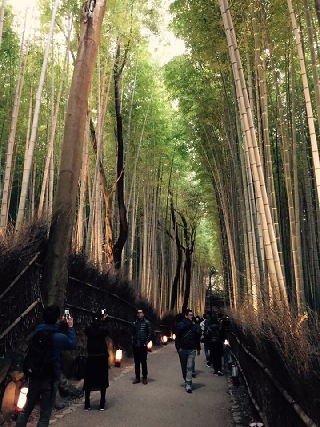 Экскурсия по Киото. Район Арасияма.