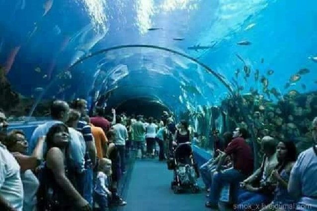 Гранд аквариум