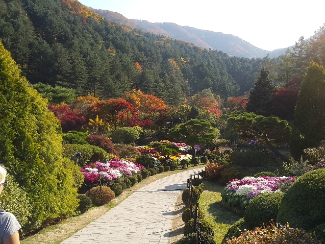 Сады и парки в пригороде Сеула