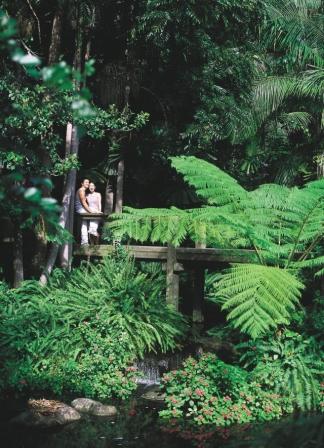 Кэрнс – экскурсия в тропический лес и крокодиловую ферму