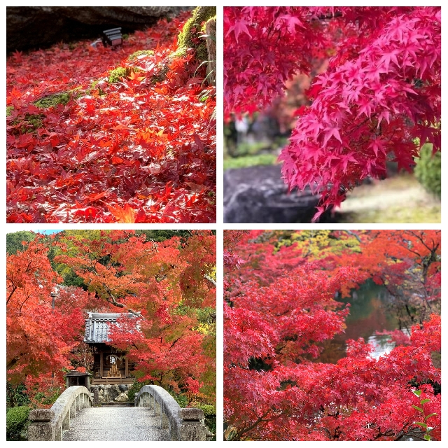 Краски осени в Киото