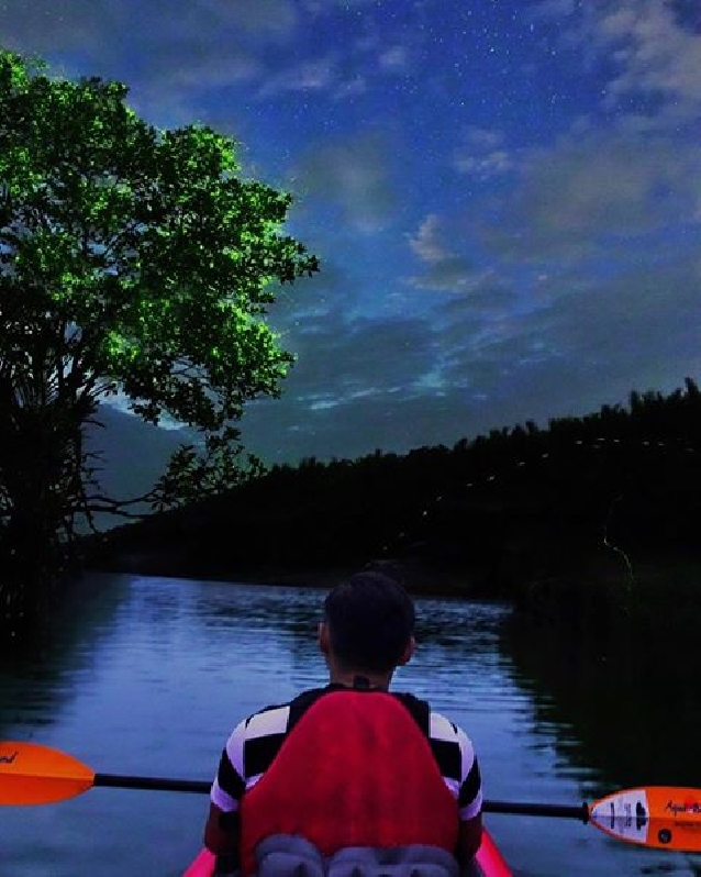 Ночная прогулка на каяках к светлячкам (с острова Бохол)