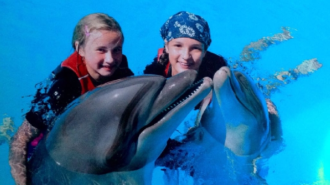 Плавание с дельфинами из шарм эльшейха 55$