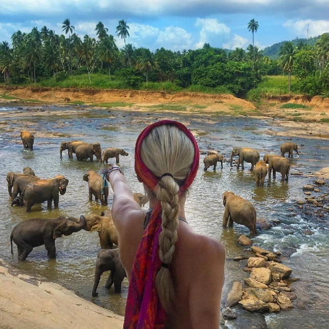 Слоновий Питомник и подводный мир Шри-Ланки