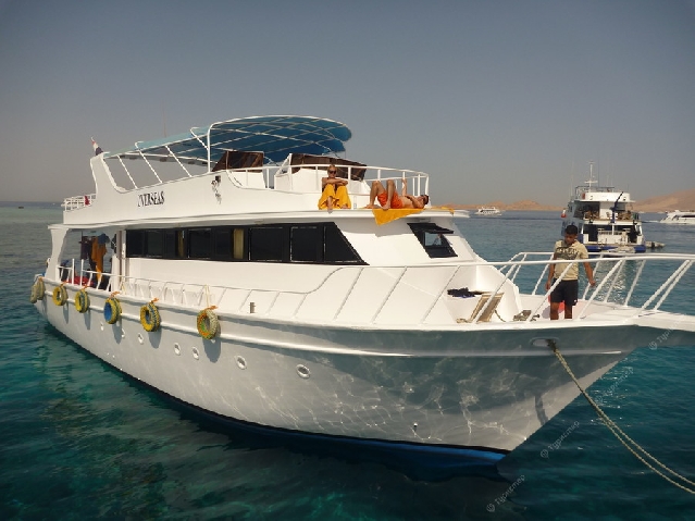 морские индивидуальные яхты из Шарм эль шейха 350$