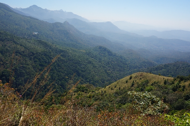Великолепные пейзажи гор Южной Индии – экскурсия в Понмуди на 1 день.