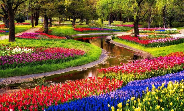 “Голландия для своих”: тюльпановый парадиз Кекенхофа