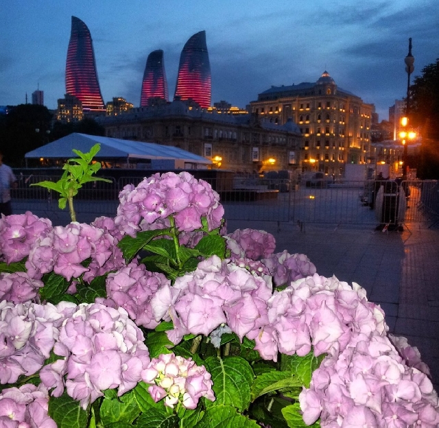 Все лучшие панорамы вечернего и ночного Баку за 4 часа.