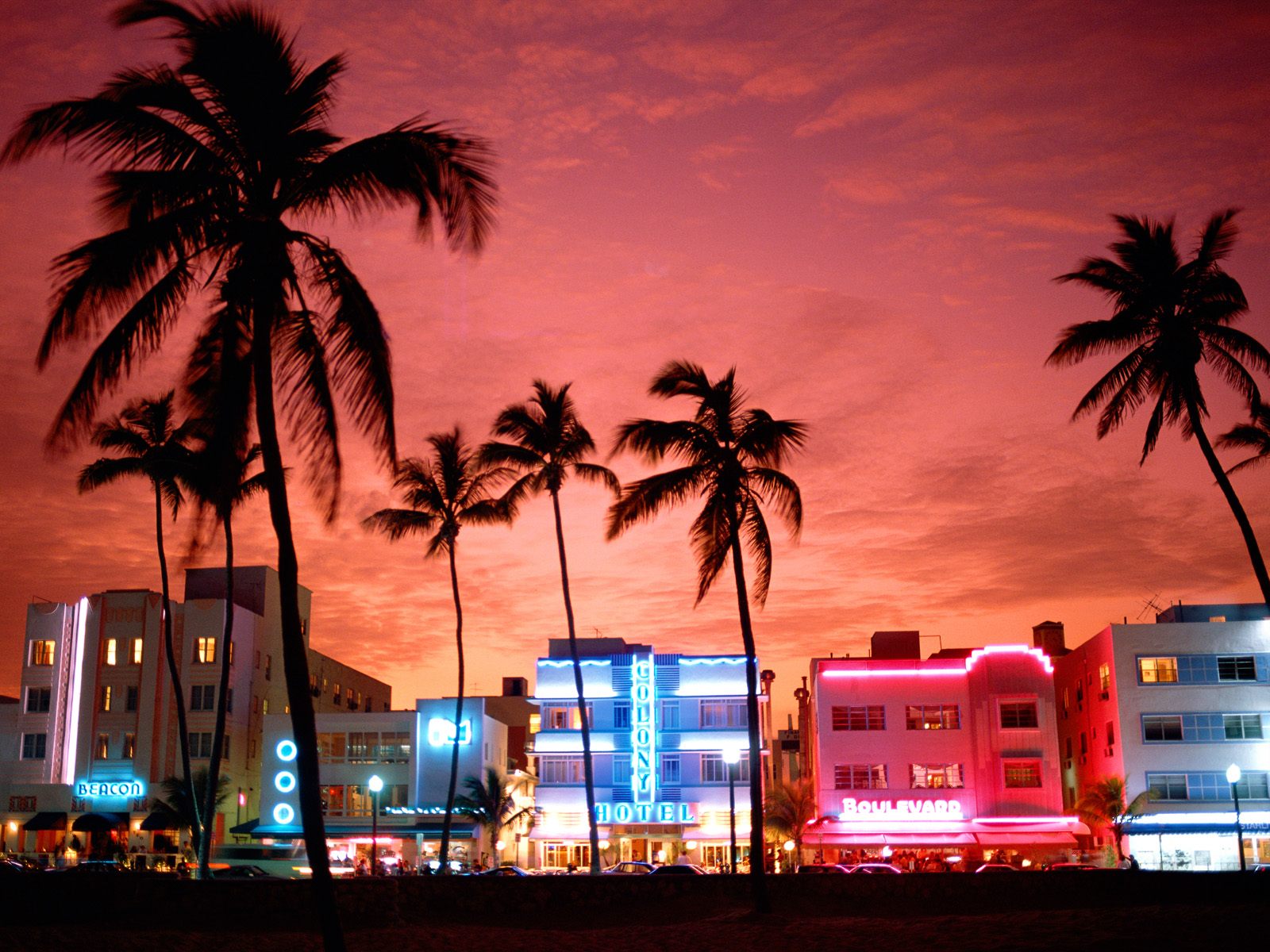 Обзорная экскурсия по Майами с круизом