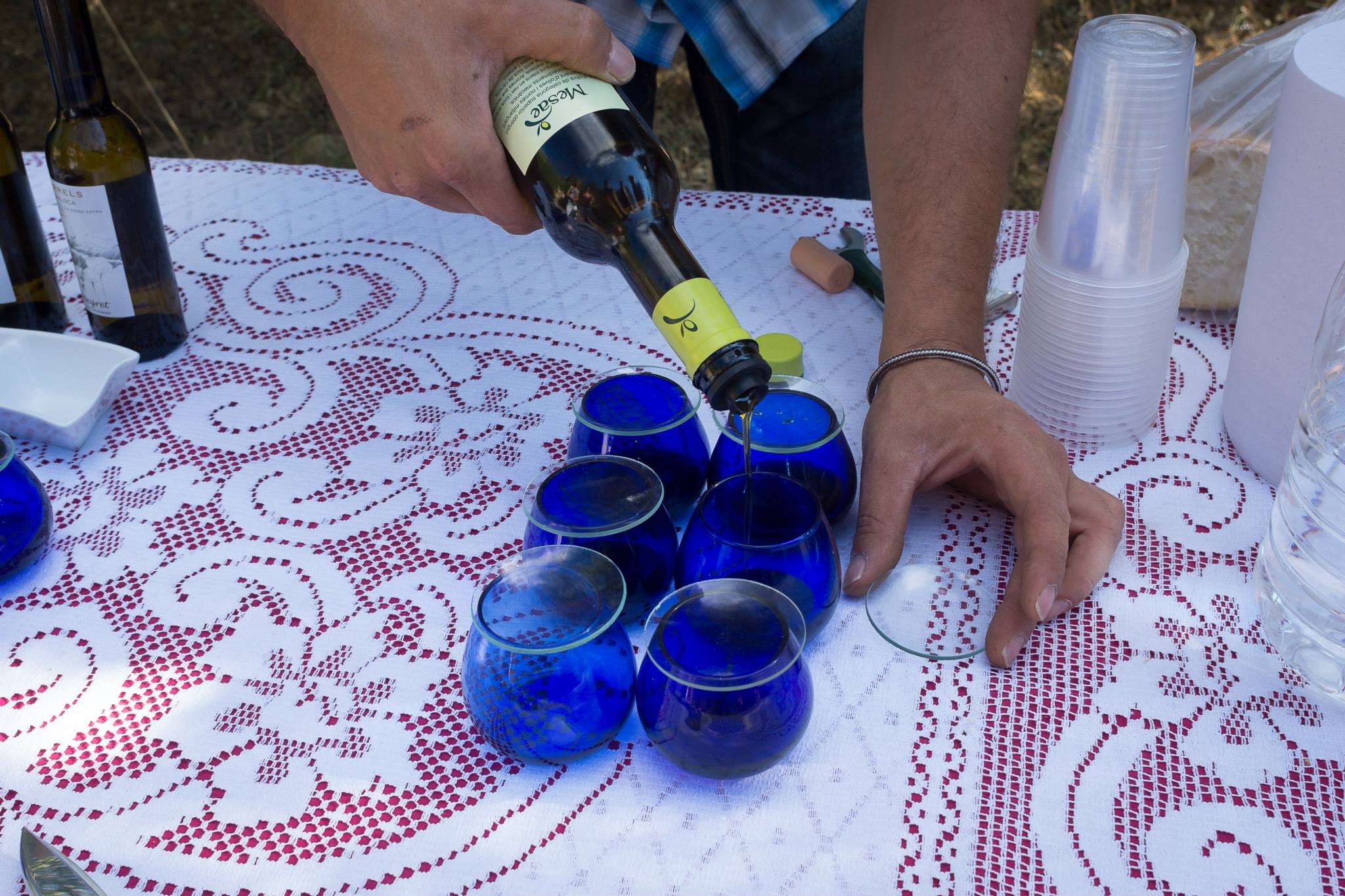Дегустация вина и оливкового масла в Приорате (Коста Дорада)