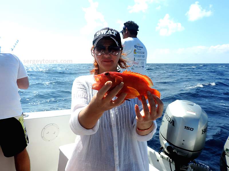 Экскурсия №8: «Рыбалка на Ривьере Майя»