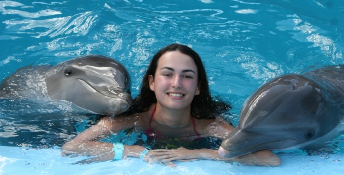 Тур №6: Плавание с дельфинами