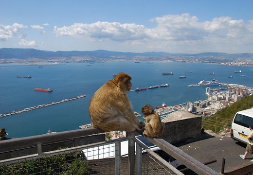 Индивидуальная экскурсия в Гибралтар