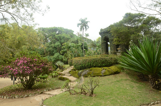 Ботанический сад Рио-де-Жанейро ( Jardim Botnico do Rio de Janeiro)
