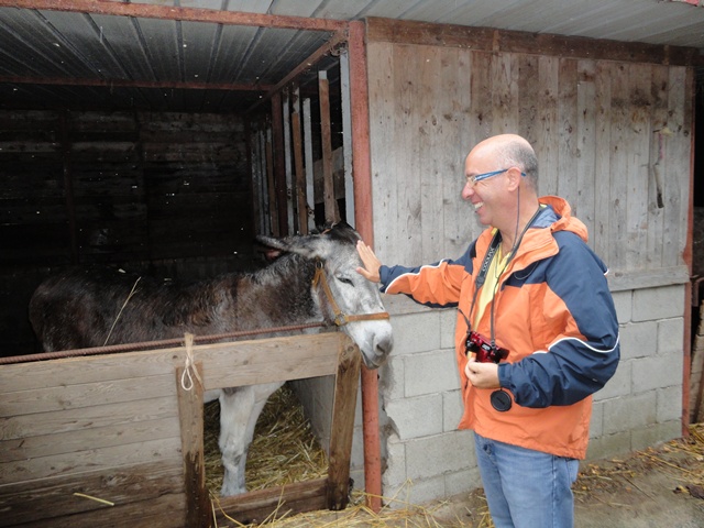 Сельская Калабрия