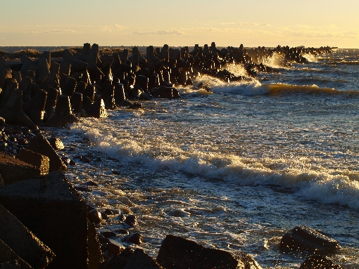 Город под липами Лиепая