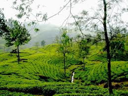 Природа и культура 4 дня  