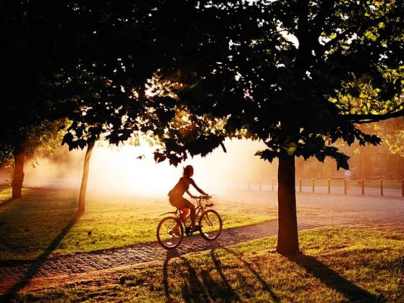 Велоэкскурсия по Ярославлю