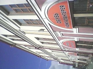 Дворянское гнездо