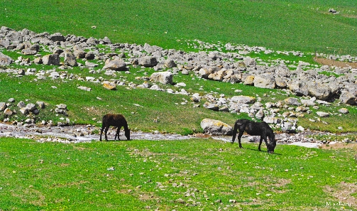 Открой Кыргызстан