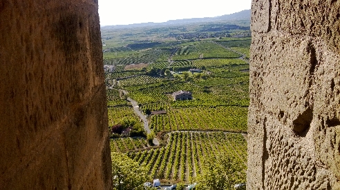 Экскурсия «Чарующая Риоха и ее города-крепости»