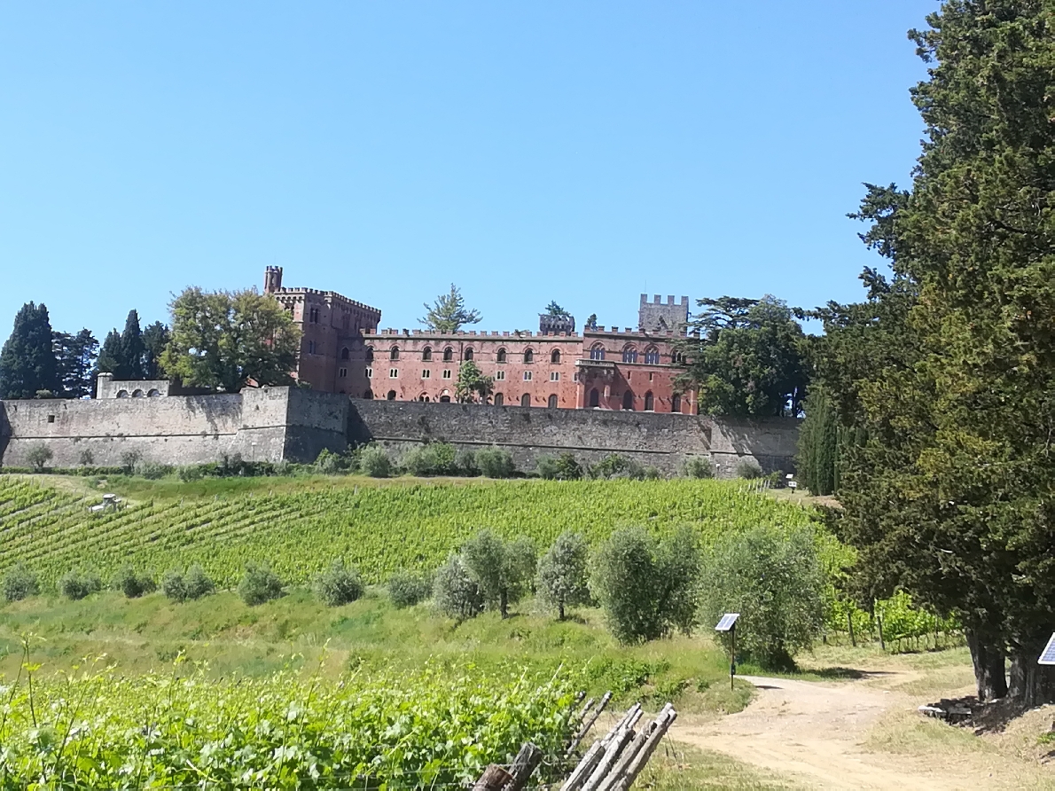 Винный тур Кьянти Классико: территория и вино, история и дегустации 