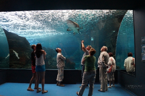 Аквариум на Крите