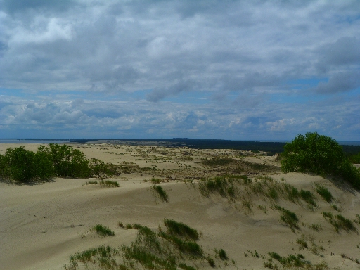 Куршская коса