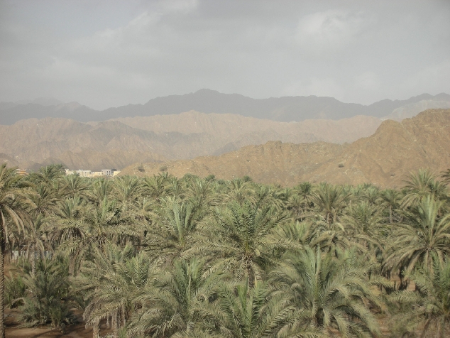 Побережье Индийского океана