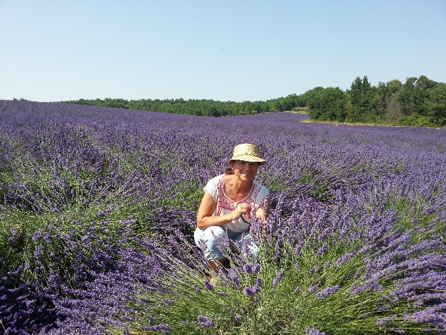 Едем на Лаванду!