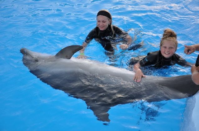 БУХТА ДЕЛЬФИНОВ