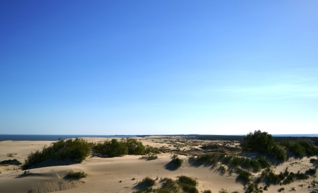 Куршская Коса. Лучшие мгновения.