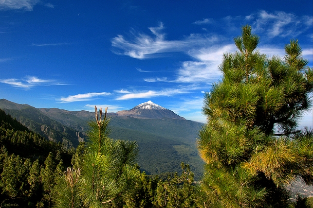 Вулкан Тейде 1/2 дня