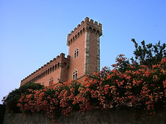 Дегустация супертосканских вин в Болгери! САССИКАЙА!!