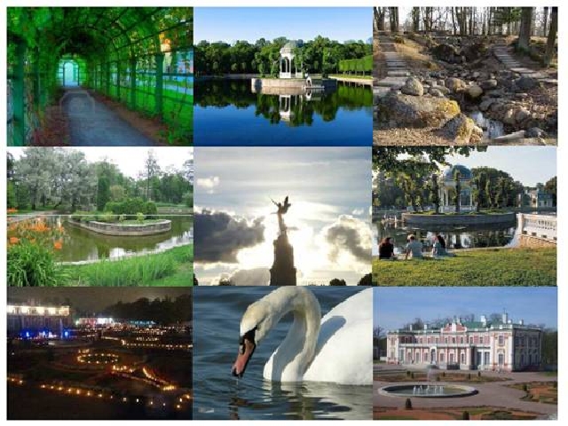 ПРОГУЛКА ПО КАДРИОРГУ