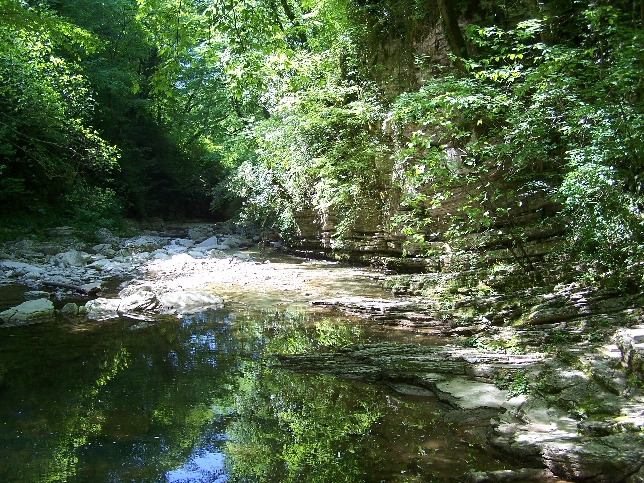 Агурское ущелье+Чайные домики