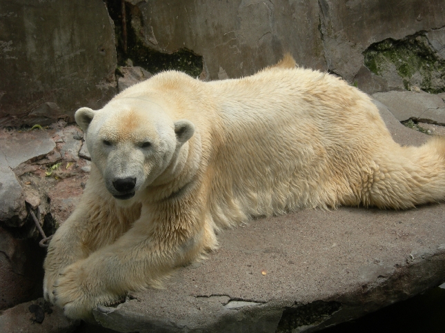 Калининград туризм,невозможного мало!!!