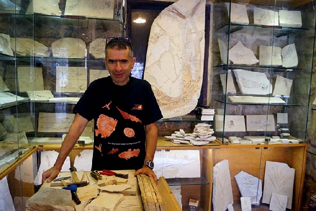 Путешествие в доисторические времена