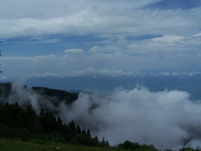 Абхазия-однодневная экскурсия из Сочи