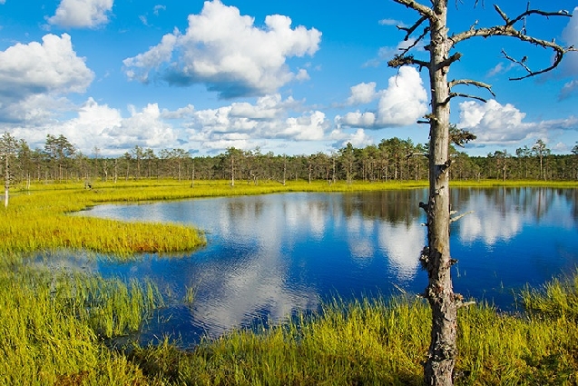 ЗАПОВЕДНИК ЛАХЕМАА