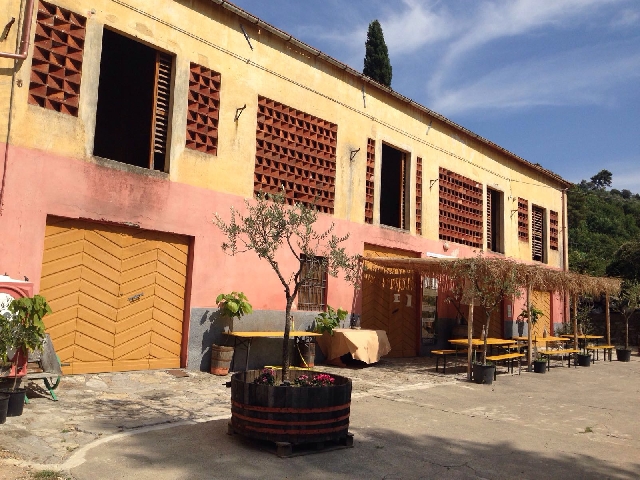 Дегустация вина из Виареджо